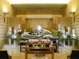 ��^���v����